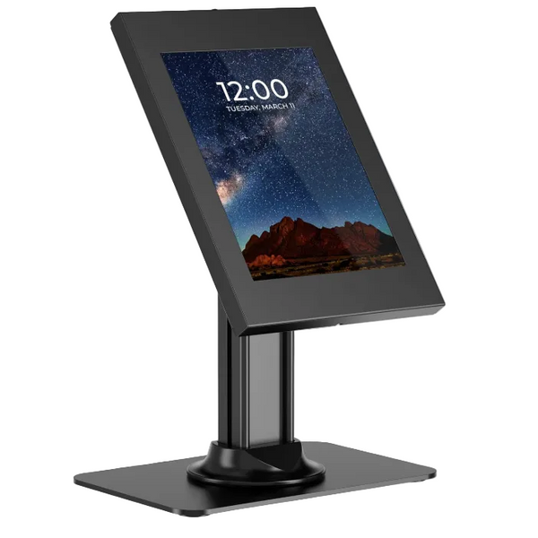 iPad Mount